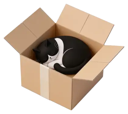Cosmo, the Workraft cat, curled up asleep in his cardboard box
