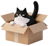 Cosmo peers over the edge of his kraft box on the roof of the scheduling pod.