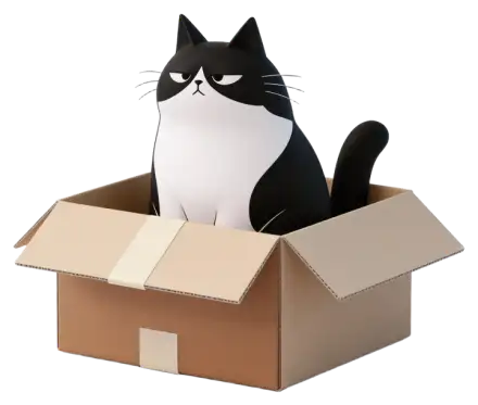 Cosmo, the Workraft cat, sits in an open cardboard box