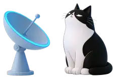 Cosmo, the Workraft cat, sits beside a small satellite dish and looks up at the sky