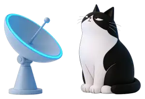 Cosmo, the Workraft cat, sits beside a small satellite dish and looks up at the sky